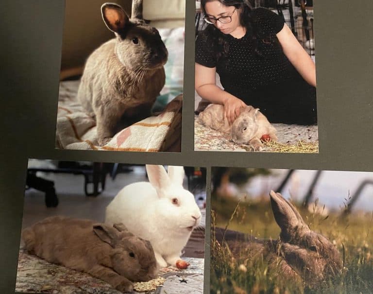 Memorial Gifts for pets